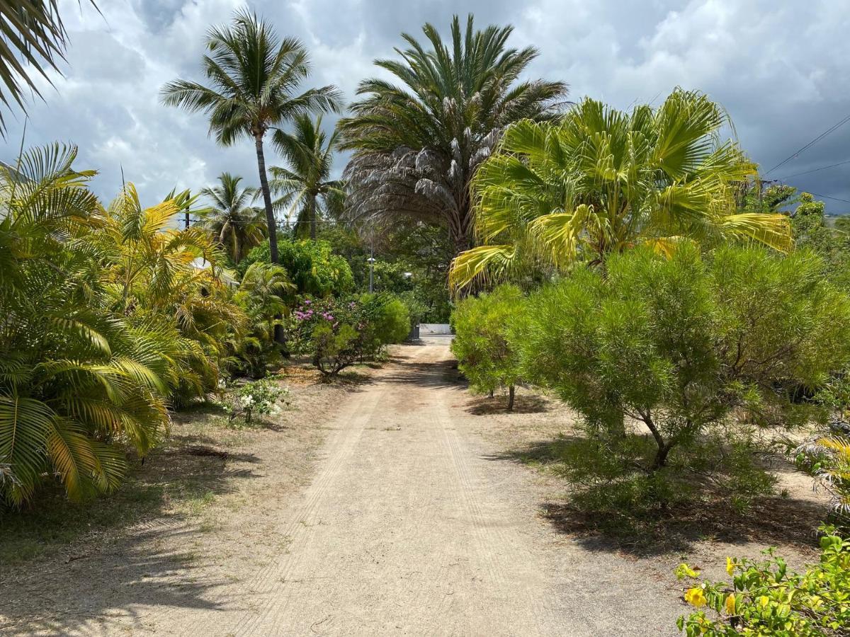 Villa&Bungalow 'Coco des sables' les pieds dans l'eau La Saline Le Bains Extérieur photo